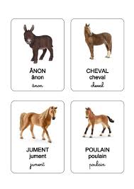 Les Animaux De La Ferme Animaux Animaux De La Ferme Activite Enfant