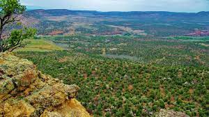 Campground & rv park search. Climbing In Cactus Park Grand Junction Area