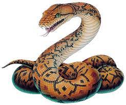 Please wait while your url is generating. Snake Png Image Png Arts