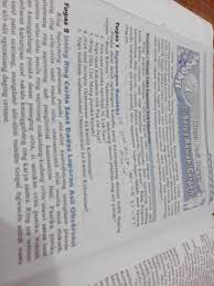 Bes buah basang padidi lantas coléka, gigis gedeg basangé. Tolong Di Jwb Ya Bantu Pliss Tgs Bbali Bk Paket Kls7 Pangkaja Sari Brainly Co Id