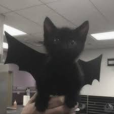 Pin On Cute