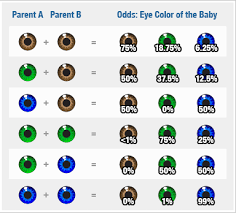 can you predict your childrens eye colour blue brown