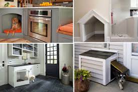 Check spelling or type a new query. 8 Off The Leash Custom Doghouse Ideas For Your Pampered Pooch American Kennel Club