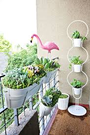 In this article, we're going to show you how to kill cactus the right way. Apartment Balcony Succulent And Cacti Garden Melodrama
