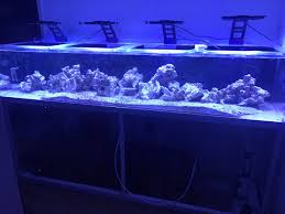 Eheim 2262 biggest filter 3. West Virginia 96x24x18 Custom Acrylic Aquarium Reef2reef Saltwater And Reef Aquarium Forum
