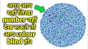 Colour Blindness Test Hindi Tyb 2017 Test Your Brain 2018