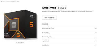 AMD Ryzen 5 9600