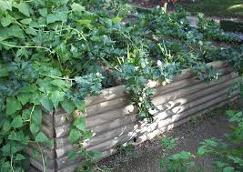 Diese obst, gemüse und kräuter kannst du auch mit wenig licht selber. Obst Gartengemuse Und Krauter Anbau Im Schatten