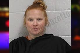 Heather Langley — Carroll County Jail Bookings
