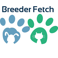 The current median price of border collies in pennsylvania is $1,025.00. Bearded Collie Breeders Near Harrisburg Pennsylvania