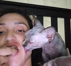 Gave Steve a bit of cheese off the pizza.. he hijacked it coz we wouldn't  give him more 🤣