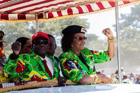 Image result for grace mugabe investigated for ivory smuggling