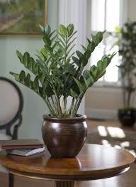 Silkflowers Com Announces Spring 2014 Collection Plants Indoor Plants Growing Plants Indoors