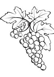 Touch device users, explore by touch or with swipe gestures. Coloring Pages Grapes Coloring Page For Kids
