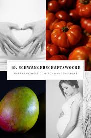 So sieht der fötus in der 21. 19 Ssw Schwangerschaftswoche Happybabyness Com