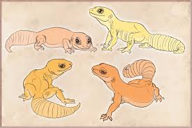 The left side of the back and or body also needs to be drawn in as well. Leopard Gecko Customs By Residualadopts On Deviantart