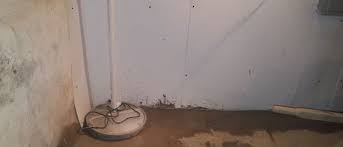 Compare homeowner reviews from 11 top louisville waterproofing foundation or basement services. Basement Waterproofing System Louisville Leak Repair