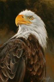 We did not find results for: Jose Rodriguez Jose2507 Perfil Pinterest