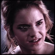 Ron and Hermione Taylor Swift