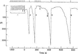 A ring cone is simply a freestanding cone made from a material of your choice with a tip that's narrow enough to hold a ring. Intracellular Messengers In Vertebrate Photoreceptors Springerlink