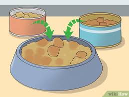 Maybe you would like to learn more about one of these? 3 Ways To Change Cat Food Wikihow