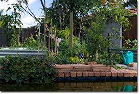 Convert Your Eco Unfriendly Swimming Pool Into A Biologically Active And Attractive Fish Farm The Permaculture Research Institute