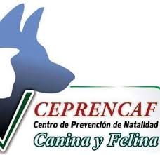 ceprencaf