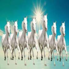 Seven horses wallpaper weilaimeng org. 7 Horse Wallpaper Lasopacost