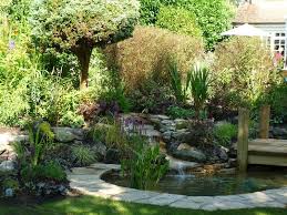 Pin By Kelly Sawyer On Garden Small Backyard Ponds Pond Design Ponds Backyard