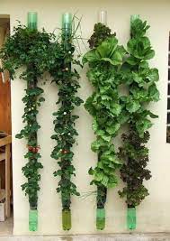 Community Post 39 Insanely Cool Vertical Gardens Verticle Garden Vertical Vegetable Gardens Indoor Vegetable Gardening