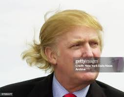 352 Hand Ribbon Cutting Stock Photos, High-Res Pictures, and Images