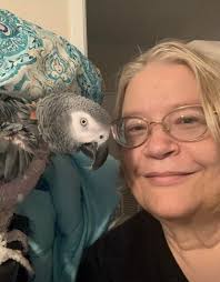 Hiya quick question I was wondering how old my boy is? I have a photo of  his band I'm thinking 2008 but the colour doesn't match that year? Thank  you 🙂