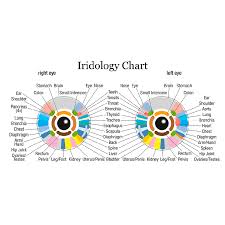 Iridology Diploma Course Centre Of Excellence
