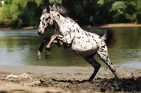 R&eacute;sultat de recherche d'images pour 