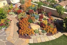 A Succulent Tapestry Yelp Succulents Garden Succulents Design Succulents