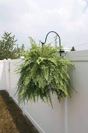 Cool Creative Ideas For Garden Decoration Frugal Living Hanging Plants On Fence Hanging Plants Outdoor Hanging Plants