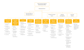 Organisational Structure