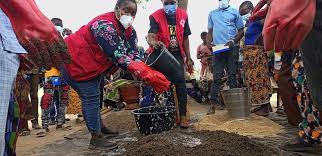 Top Five Places to Volunteer for Impact and Career Growth