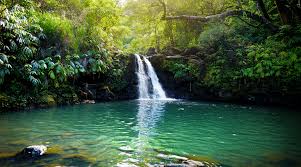Set on a private land . The Very Best Of Maui S Beautiful Waterfalls Ranked