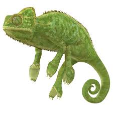 3d Chameleon Pose 2 Model Icon Design Inspiration Poses 3d Model