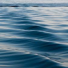 Buaya manfaatkan ombak untuk bepergian. Mengapa Ombak Ada Di Laut Tetapi Tidak Di Danau Dan Sungai Kumparan Com