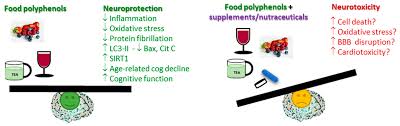 Foods contain a complex mixture of different polyphenols. Antioxidants Free Full Text Polyphenols From Food And Natural Products Neuroprotection And Safety Html