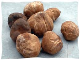 Fromage affiné à la truffe, élaboré au lait de brebis pasteurisé. La Truffe Ou Terfass Marocaine Dafina Net