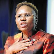 Honourable speaker deputy minister of small business development, mama nokuzola rosemary capa chairperson and honourable members of the portfolio committee on small business development Lindiwe Zulu Biography Age Net Worth Husband Twitter Married Speech Today Qualifications Contact Details Pictures Thecityceleb