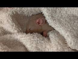 раз два три четыре пять я иду тебя искать песня Krysa Igraet V Pryatki Raz Dva Tri Chetyre Pyat Ya Idu Tebya Iskat Kto Ne Spryatalsya Ya Ne Vinovata Youtube