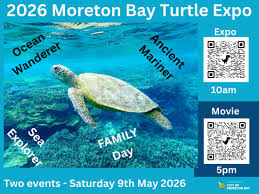 What's happening at Turtle Day in Redcliffe?