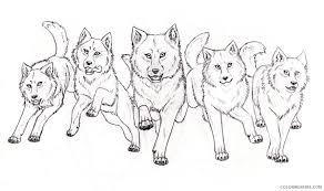 Print our free coloring pages. Wolf Pack Coloring Pages Pack Of Wolf Clip Art Printable Coloring4free Coloring4free Com