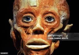 78 San Diego Natural History Museum Stock Photos, High-Res Pictures, and  Images