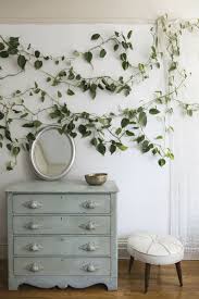 Pin By Kim On Dramatic Houseplants Decor Room Decor Hanging Plants