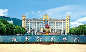 Study Nursing in WUT; Study in China